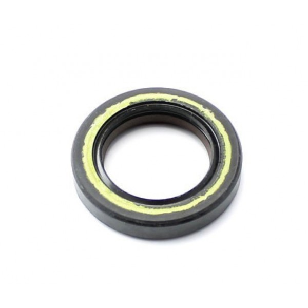 110 - OIL SEAL D. 25 x 40 x 7